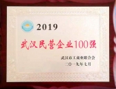 2019武漢民營企業100強